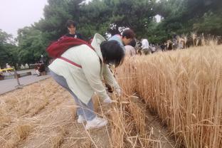 餐厅老板：哈兰德在我这吃了意大利面后连续戴帽，最早是队医来吃